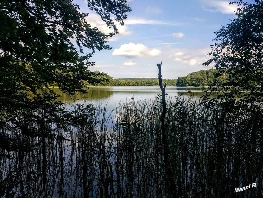 Wolliner Nationalpark
Schlüsselwörter: Polen