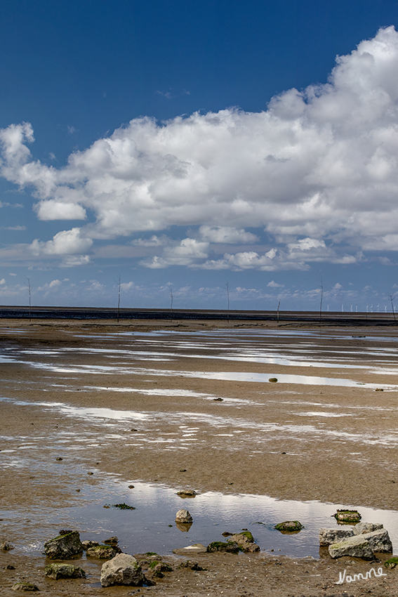 Dorum - Blick aufs Watt
Die Ortschaft Dorum gehört zur Gemeinde Wurster Nordseeküste im Landkreis Cuxhaven in Niedersachsen. Dorum trug früher die Bezeichnung Nordseebad. laut Wikipedia
Schlüsselwörter: Cuxhaven