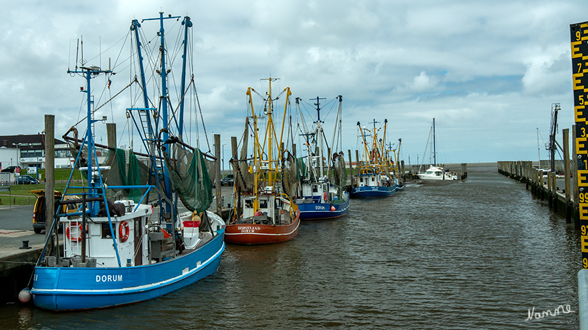 Dorum - Kutterhafen
Kutterhafen am Dorumer Tief in Dorum-Neufeld.
Auch er unterliegt den Gezeiten der Nordsee.
Schlüsselwörter: Nordsee, Dorum, Leuchtturm, Kutterhafen