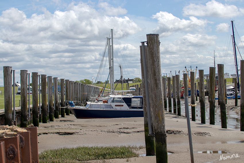 Dorum - Jachthafen
An der Nordseeküste finden Sie viele Kutterhäfen. Der Küstenbadeort Dorum-Neufeld, Spieka-Neufeld  und das Nordseebad Wremen haben an der Wurster Nordseeküste jeweils einen Kutterhafen.

Zusätzlich hat Dorum-Neufeld einen Yachthafen. 
Schlüsselwörter: Cuxhaven