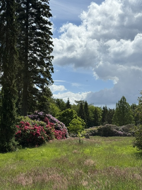 Schlosspark Heltorf
Schlüsselwörter: 2026