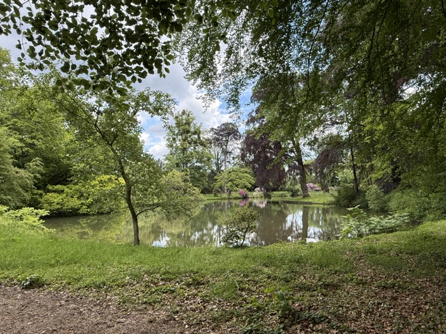 Schlosspark Heltorf
Jo
Schlüsselwörter: 2026