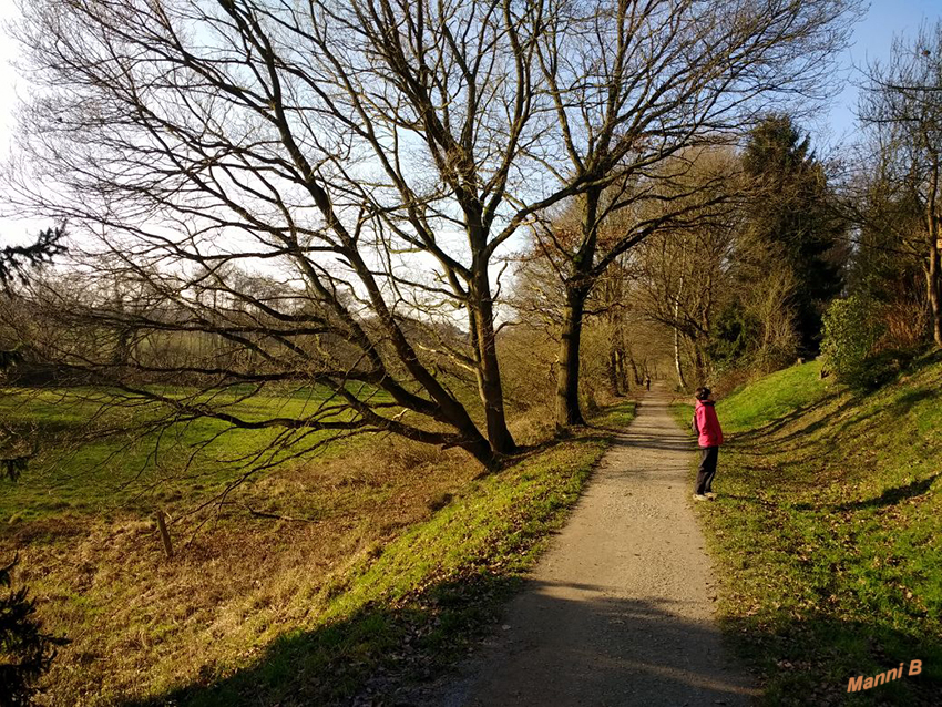 Ja wenn die Sonne scheint
