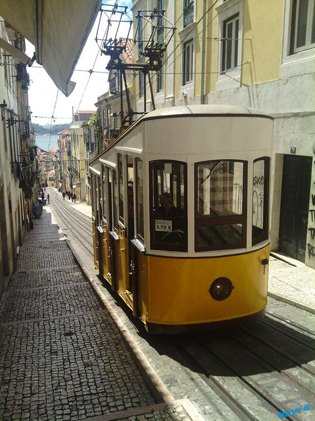 Lissabon
Die drei Standseilbahnen in Lissabon, portugiesisch Ascensores de Lisboa (übersetzt Aufzüge von Lissabon), verkehren in der portugiesischen Hauptstadt, um tiefer gelegene Teile der Altstadt mit höher gelegenen zu verbinden. laut Wikipedia
Schlüsselwörter: Portugal, Lissabon