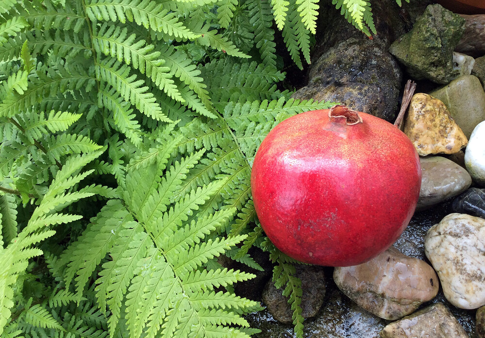 Obst und Gemüse „Granatapfel“
Elise
Schlüsselwörter: 2021