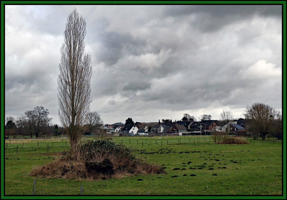 Februarfoto "Nix wie weg, nach Hause!!!!"
Elise
Schlüsselwörter: 2022