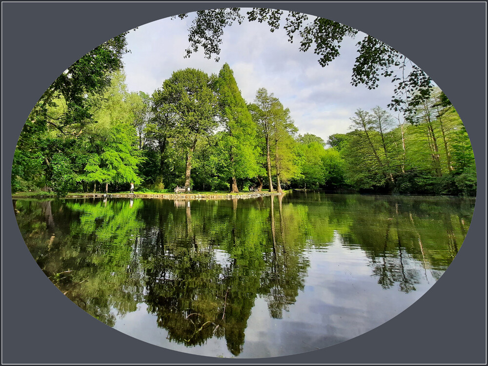 Spiegelung "Naturfoto mit Spiegelung"
Elise
Schlüsselwörter: 2021