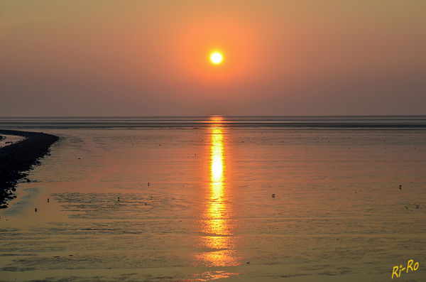 Sonnenuntergang
in Ostfriesland
Schlüsselwörter: Nordsee,