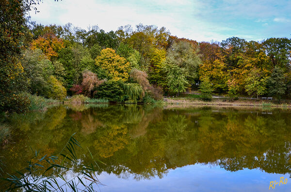 11 - Cappenberger See
er entstand durch Ausbaggerung von Lehmböden, die in den Jahren 1919 bis 1928 zum Bau der eingleisigen Bahnstrecke benötigt wurden. Der Name des Sees ist vom Schloss Cappenberg hergeleitet, das im drei Kilometer entfernten Cappenberg, einem Ortsteil der Stadt Selm, liegt. (lt. Wikipedia)
Schlüsselwörter: Herbst