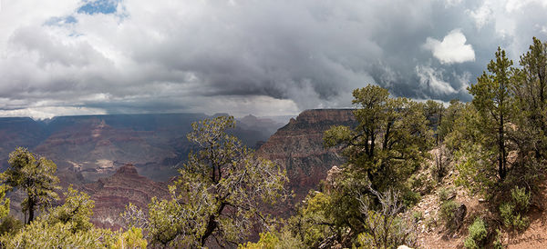 Grand Canyon
Wie man sehen kann kommt die Schlechtwetterfront sehr schnell näher. Kurze Zeit später war es nebelig und es fing auch an zu hageln.
Schlüsselwörter: Amerika , Grand Canyon