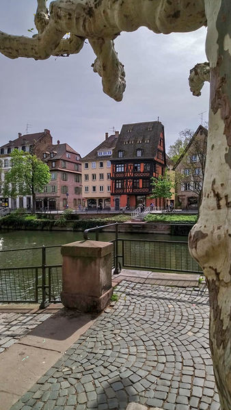 Ein besonderer Ausblick
Straßburg
Schlüsselwörter: Straßburg