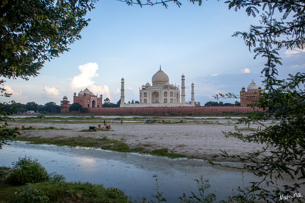 Taj Mahal vom anderen Flussufer aus
Das Mausoleum aus weißem Marmor ist ein wahres Kunstwerk und eines der schönsten Bauwerke der Welt. Die Architektur des Taj Mahals ist ein Beispiel für den indo-islamischen Stil, der durch die dekorativen Elemente untermalt wird. Es steht in Agra, in Nordindien, am Ufer des Flusses Yamuna. Mittlerweile ist es ein UNESCO-Weltkulturerbe. lt. natuerlich.reisen 
Schlüsselwörter: 2024