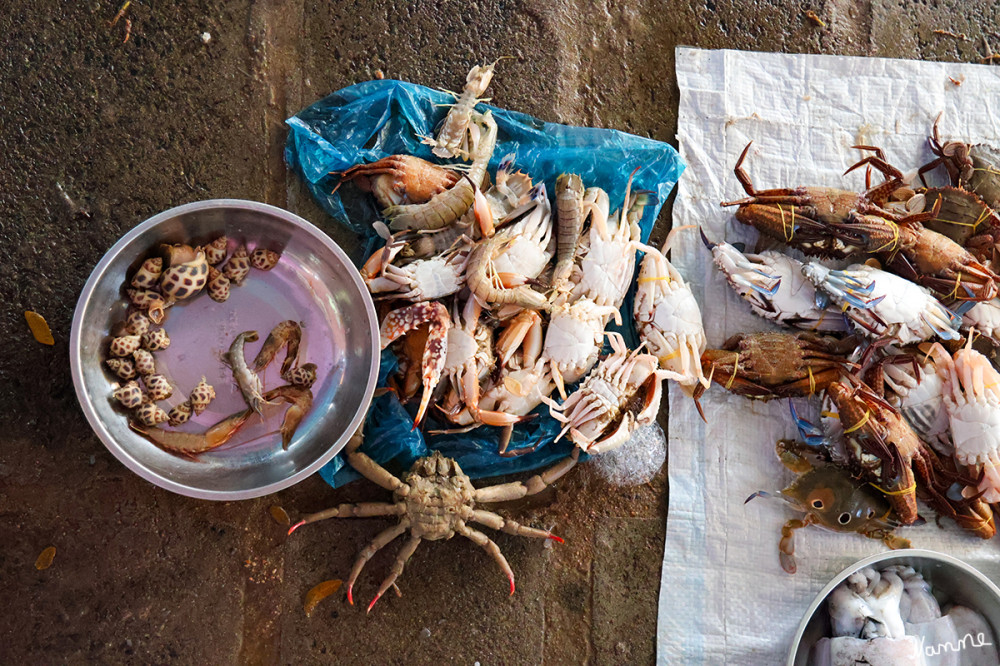 Markt in Mui Ne
Frischer Thunfisch, Tintenfisch, Krabben und Meerestiere direkt von den Booten.
Da es sich um einen reinen Frischmarkt für Einheimische handelt, sind die hygienischen Standards bei rohem Fleisch und Fisch einfach.
Schlüsselwörter: 2026; Vietnam