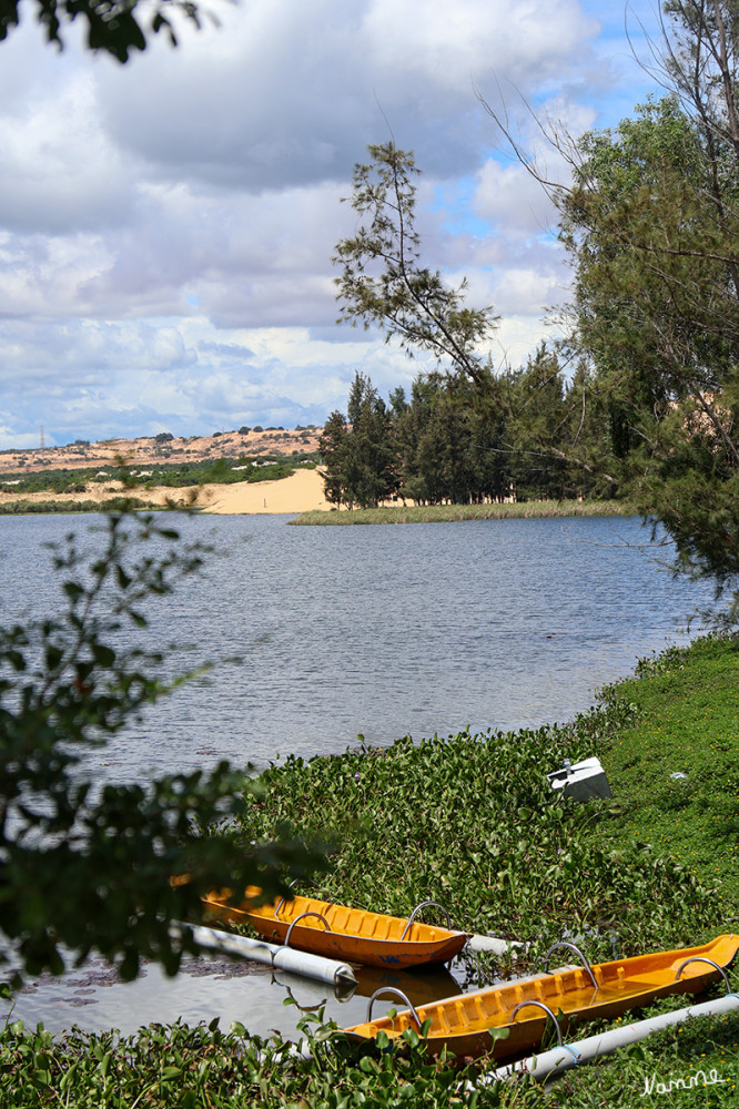 Blick auf die Weiße Düne
Bau Trang war einst ein einziger riesiger See. Sandbänke und Dünen haben das Gewässer seither in zwei Teile geteilt, bekannt als der kleine See (Bau Ong) und der große See (Bau Ba). Bau Ong ist klein und lang, und Bau Ba ist breit und tief. Zusätzlich sind verschiedene kleinere Teiche zwischen den Dünen verstreut. Wie Sie sich vorstellen können, verfügt die Region über ein reiches Ökosystem mit verschiedenen Gräsern, Insekten, Fischen und Vögeln.  lt.vietnam.travel
Schlüsselwörter: 2026; Vietnam