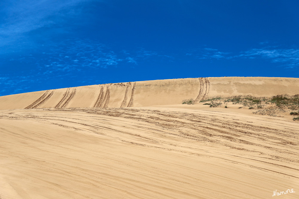 Weiße Düne
Südostasien wird in der Regel mit einer feuchten, tropischen Umgebung assoziiert, aber in der Gegend von Mui Ne in Vietnam liegt eine wunderschöne Wüste. Die weiße Sandünen sind ungefähr 50 km von Mui Ne entfernt.
Schlüsselwörter: 2026; Vietnam