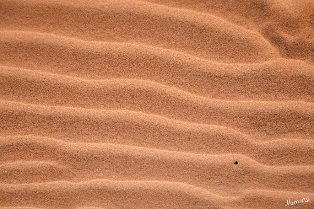 Dünensand
Schlüsselwörter: 2026