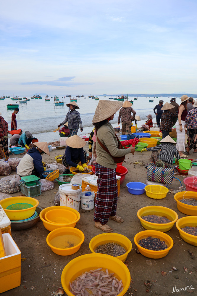 Morgens am Fischerhafen in Mui Ne
Der Fang wird direkt am Strand sotiert und auch verkauft.
Schlüsselwörter: 2026; Vietnam
