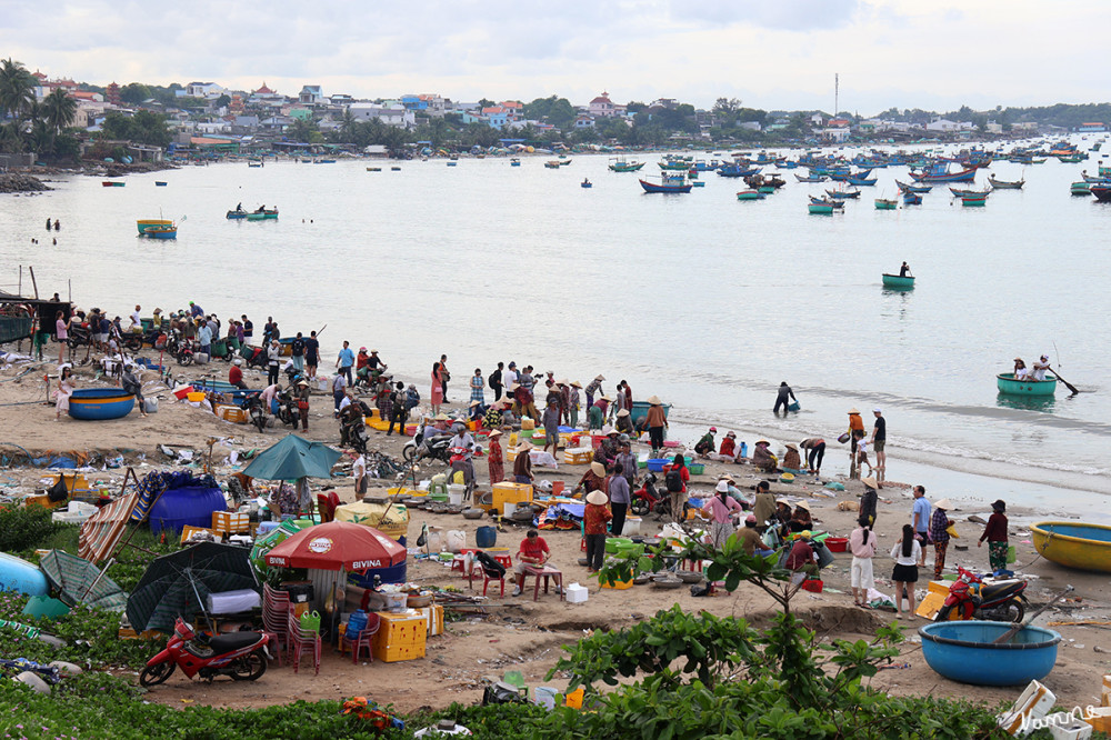 Morgens am Fischerhafen in Mui Ne 
Hier erlebst man den echten Arbeitsalltag der Einheimischen, begleitet von einem intensiven Geruch nach Fisch, Netzen und Meeresfrüchten.
Schlüsselwörter: 2026; Vietnam