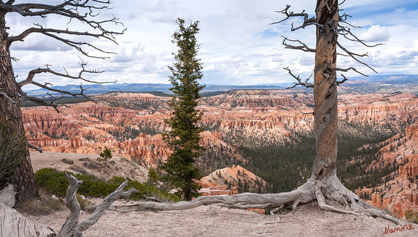 Bryce Canyon NP
Aussicht vom Bryce Point
Schlüsselwörter: Amerika Bryce Canyon