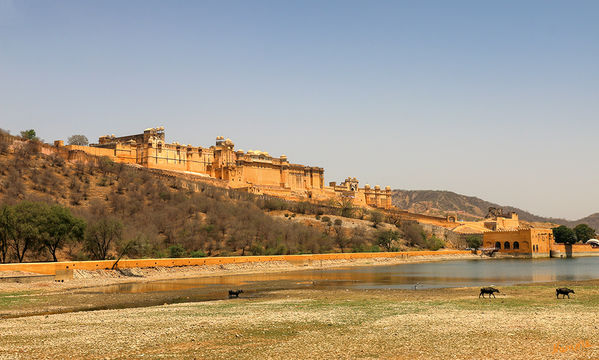 Jaipur - Amber Fort
Das Amber Fort liegt etwa zehn Kilometer nördlich von Jaipur, der Hauptstadt des nordindischen Bundesstaats Rajasthan, oberhalb des Orts Amber (auch: Amer) auf einem Bergkamm des Aravalli-Gebirges. Die mächtige Festung gilt als Juwel rajputischer Baukunst. Von außen präsentiert sie sich als wehrhafte Bergfestung, innen offenbart sie jedoch eine opulente, prunkvoll gestaltete Palastanlage. laut indi-guide.de
Schlüsselwörter: Indien, Jaipur, Amber Fort