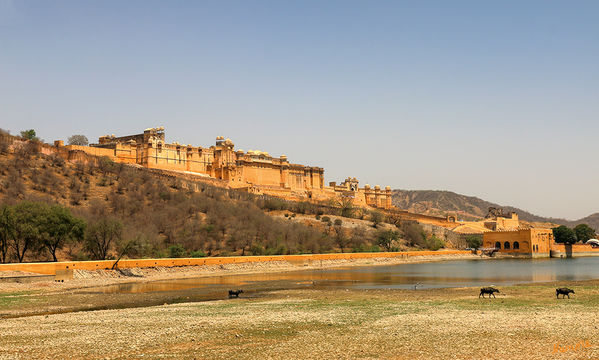 Jaipur - Amber Fort
Das Amber Fort liegt etwa zehn Kilometer nördlich von Jaipur, der Hauptstadt des nordindischen Bundesstaats Rajasthan, oberhalb des Orts Amber (auch: Amer) auf einem Bergkamm des Aravalli-Gebirges. Die mächtige Festung gilt als Juwel rajputischer Baukunst. Von außen präsentiert sie sich als wehrhafte Bergfestung, innen offenbart sie jedoch eine opulente, prunkvoll gestaltete Palastanlage. laut indi-guide.de
Schlüsselwörter: Indien, Jaipur, Amber Fort