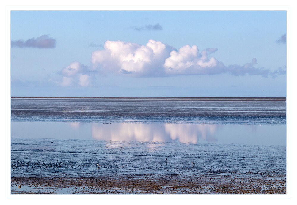 Spiegelung
Schlüsselwörter: Nordsee