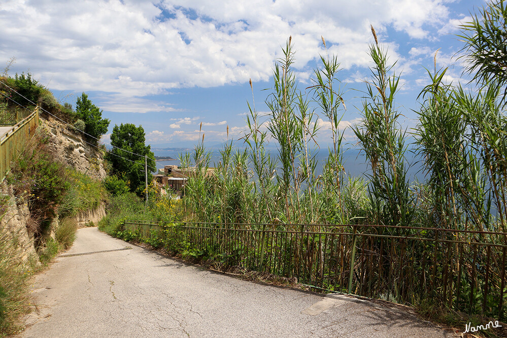 Der Weg hoch in den Weinberg
zu Francesco
Schlüsselwörter: Italien; 2024