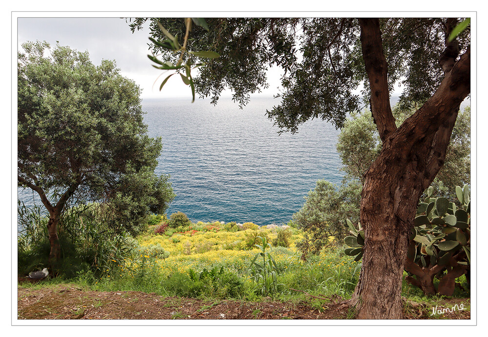 Castello Aragonese
Ausblick von der Oliventerasse
Schlüsselwörter: 2023