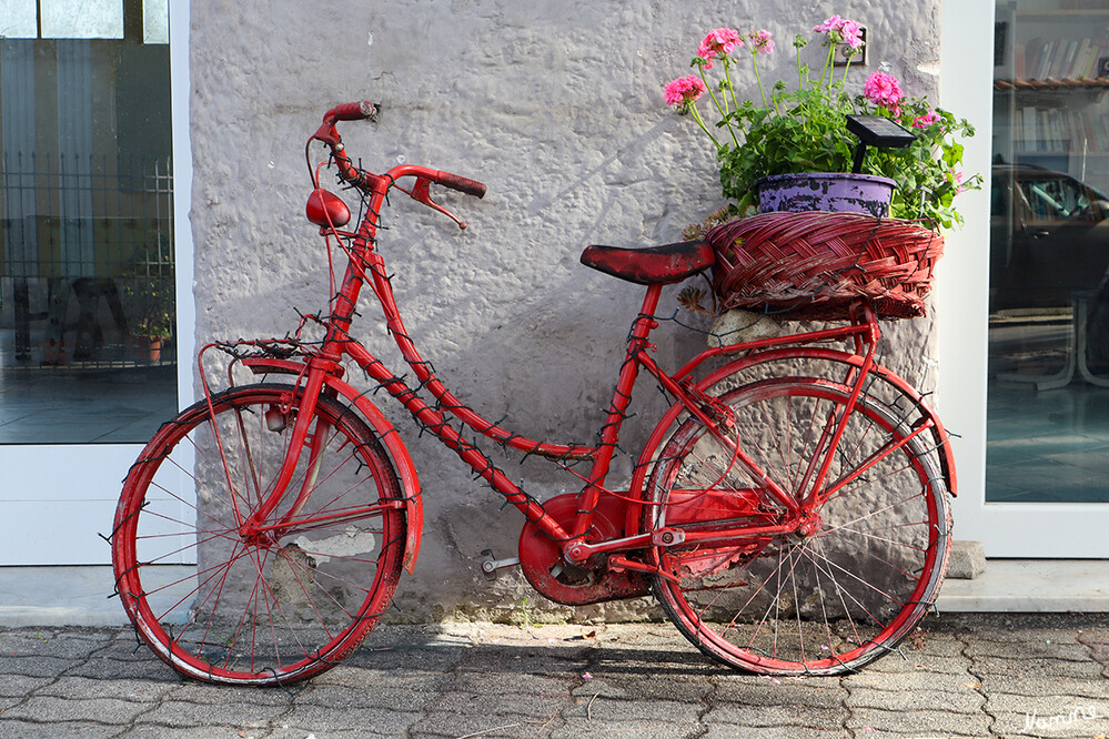 Unterwegs
Ausgedientes Fahrrad schön geschmückt
Schlüsselwörter: Italien; Ischia