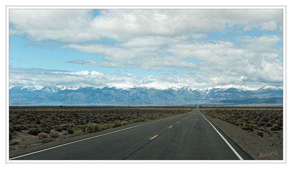 On the road....
auf dem Weg zum Tioga Pass.
Foto ist aus dem fahrenden Auto gemacht.
Schlüsselwörter: Amerika unterwegs