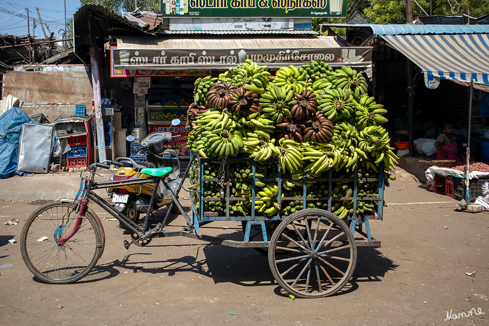 In den Gassen von Madurai
Nach der Volkszählung 2011 hat Madurai 1.016.885 Einwohner. Damit ist Madurai nach der Hauptstadt Chennai und der Industriestadt Coimbatore die drittgrößte Stadt Tamil Nadus. lt. Wikipedia
Schlüsselwörter: 2024
