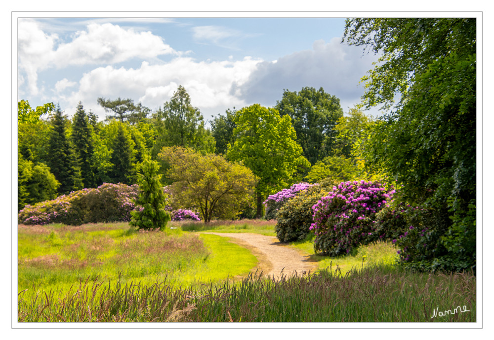 Park - Schloss Heltorf
Der Schlosspark ist als englischer Waldpark angelegt, im Zentrum liegt der Schlossweiher. Die Idee der Anlage des Gartens im englischen Stil stammt von dem französischen Abbé Biarelle aus dem Jahr 1796. Ausgeführt wurde sie von Maximilian Weyhe 1803. Besonderheiten sind seinerzeit exotische Gehölze, etwa die sehenswerte zweitälteste Rhododendronanpflanzung Deutschlands. lt. Wikipedia
Schlüsselwörter: 2026
