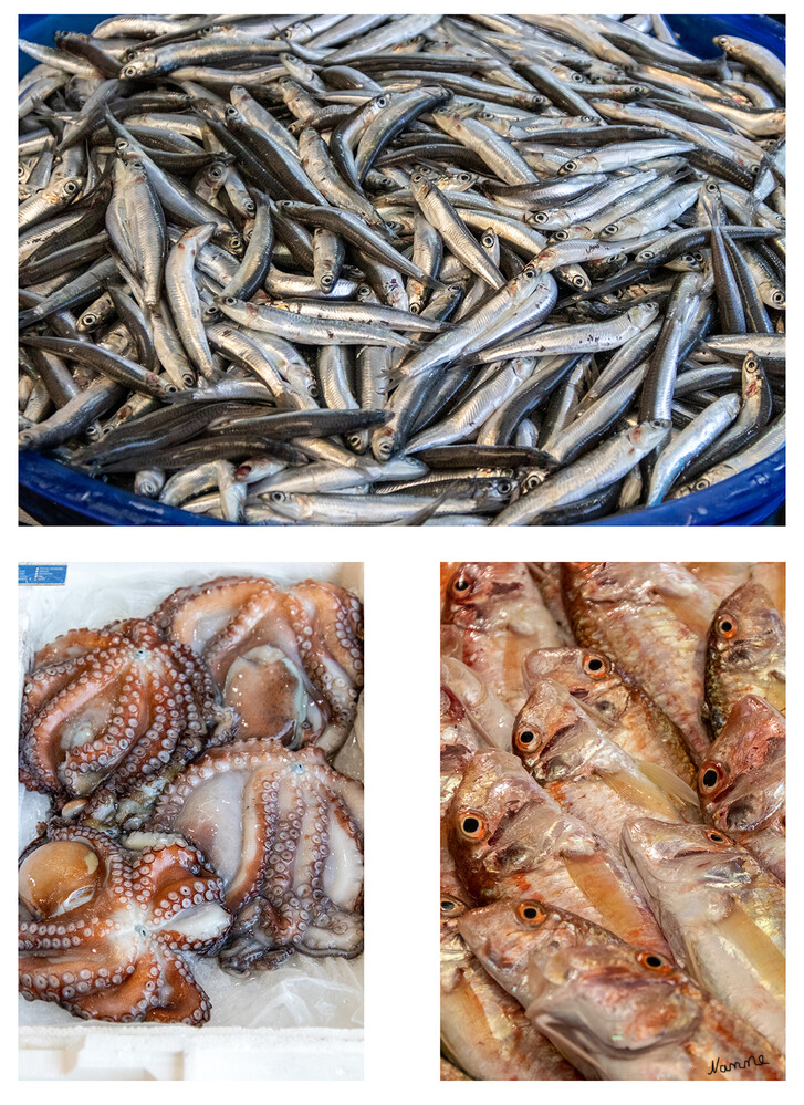 Forio - Fischmarkt
Schlüsselwörter: Italien; Ischia