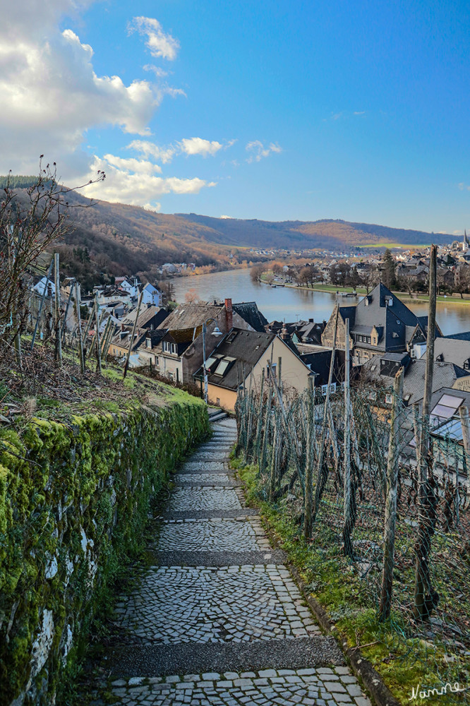 Moseltour - Bernkastel Kues
Weg hoch zur Burg Landshut mit Blick zurück auf Bernkastel Kues
Schlüsselwörter: Rheinland-Pfalz; 2026
