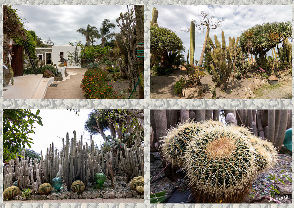 Kakteengarten Giardini Ravino
Die in Italien bedeutendste Sammlung von Sukkulenten mit Pflanzen, von denen einige im Laufe der Jahre eine Höhe von über 9 m erreicht hatten und heute, anstatt in Töpfen und Trögen, im Freiland wachsen können, ist seit dem Jahre 2006 jedem zugänglich. laut bellaischia
Schlüsselwörter: Italien; Ischia;