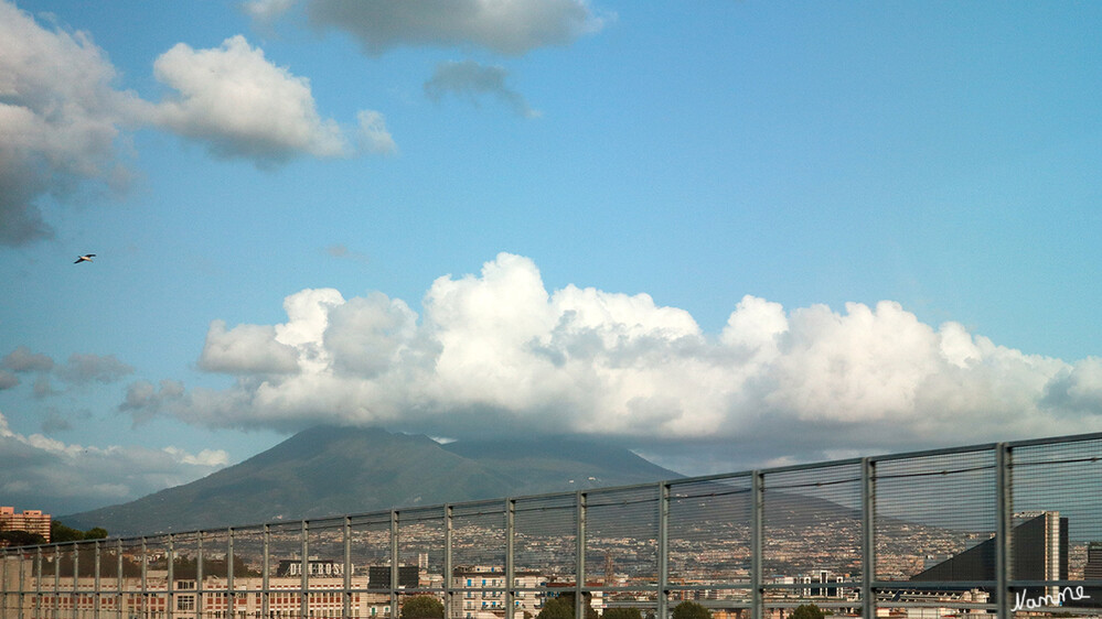 Blick auf den Versuv
Schlüsselwörter: Italien; Neapel