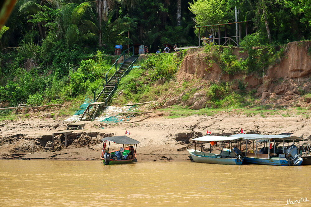 1 Peru Puerto Maldonado Ausflug zum Sandoval-See
Nach der Bootsfahrt über den Fluß Madre de Dios kommen wir am Landungssteg an. Da Niedrigwasser war, war es unsere erste Herausforderung an Land zu gehen.
Schlüsselwörter: Peru