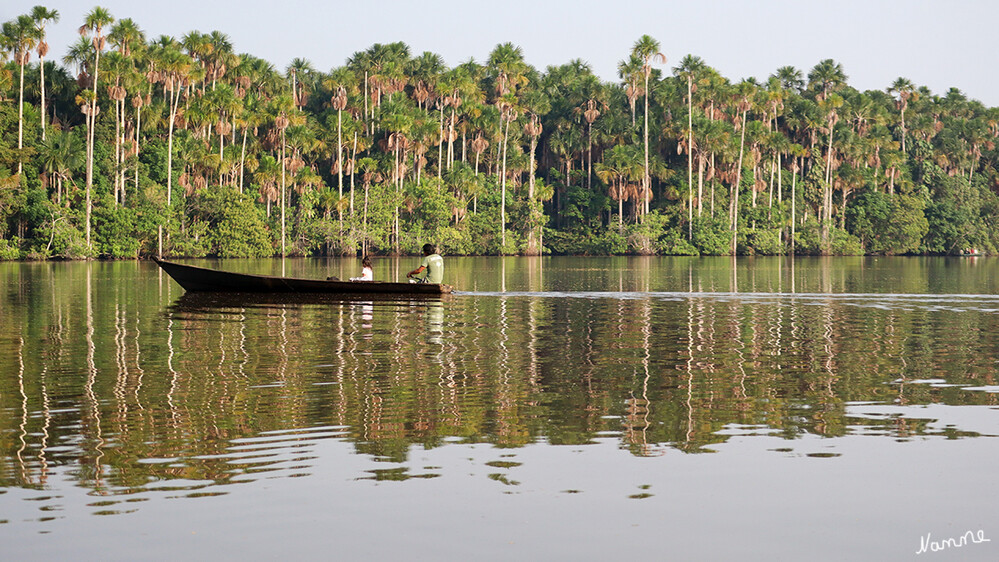 1 Peru Puerto Maldonado Auf dem Sandoval-See
Der Lago Sandoval ist ein Flachwassersee etwa 10 Kilometer östlich von Puerto Maldonado in der peruanischen Dschungelregion Madre de Dios. Der See ist ein Altwasserarm des Río Madre de Dios. laut Wikipedia
Schlüsselwörter: Peru