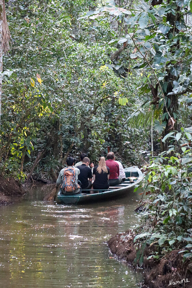 1 Peru Puerto Maldonado Auf dem Sandoval-See
Durch einen kleinen Zufluss fuhren wir zum See.
Schlüsselwörter: Peru