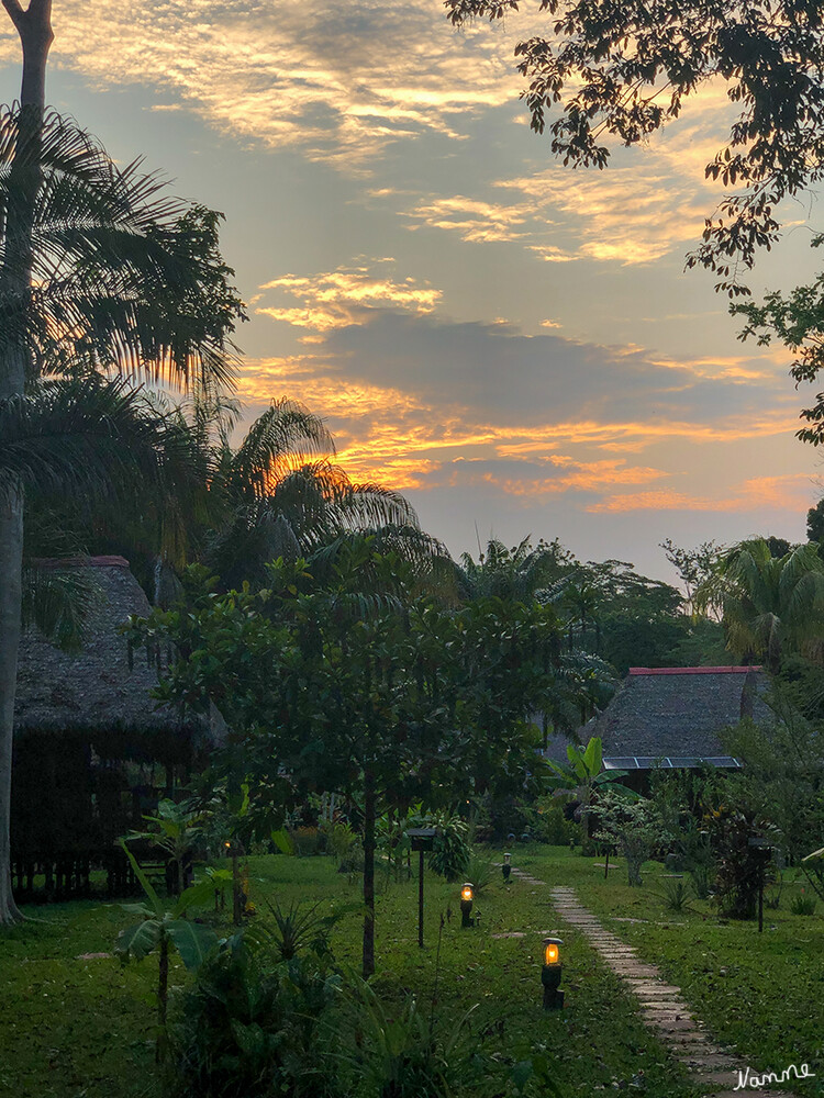 1 Peru Puerto Maldonado Lodge
Unser Weg zu unseren Häusern. Jedes Paar bewohnte ein Haus. Das mitten im Regenwald umgeben von den Geräuschen und Tieren. Beeindruckend
Schlüsselwörter: Peru