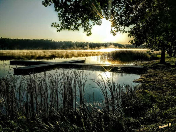 Campingplatz Gauja Nationalpark
Lettland
Schlüsselwörter: Lettland