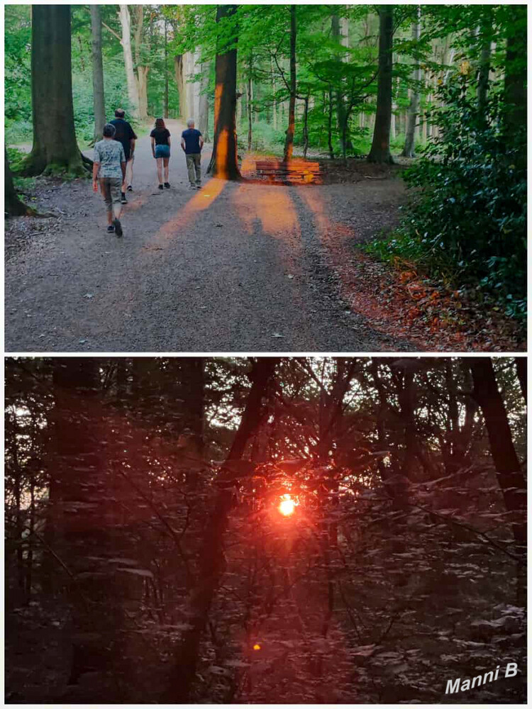 Abendsparziergang 
mit Sonnenuntergang im Wassenberger Wald
