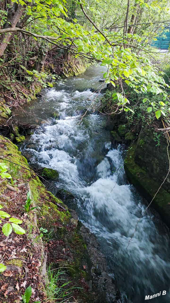 Eifelimpressionen
Schlüsselwörter: Eifel