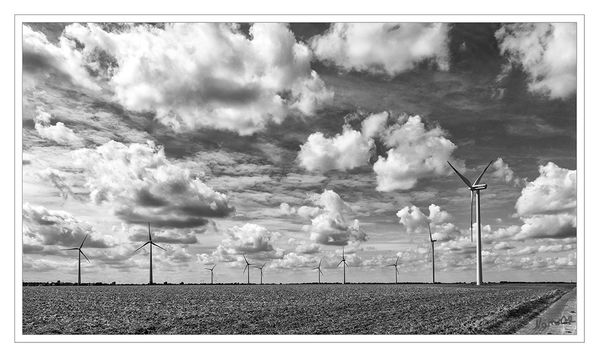 Wolkenhimmel
in s/w
Schlüsselwörter: Wolken, dramatischer Himmel