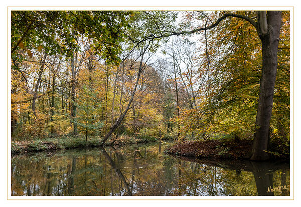 Herbstfarben
entlang der Erft
Schlüsselwörter: Herbst; Erft