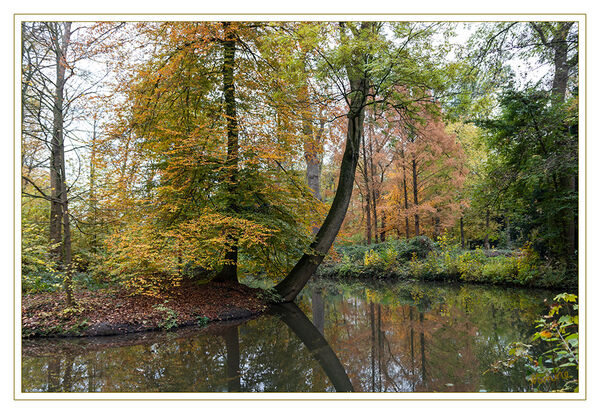 47 - Herbstfarben
2019
Schlüsselwörter: Herbst