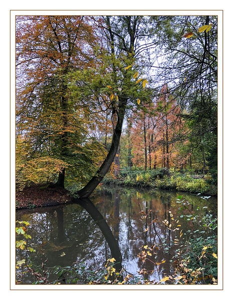 Herbstfarben
entlang der Erft
Schlüsselwörter: Herbst; Erft