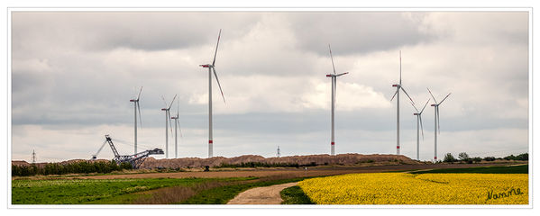 Königshovener Höhe
Ein Tagebau ist zunächst eine offene Wunde in der Landschaft. Doch im Fall der Königshovener Höhe in Nordrhein-Westfalen verheilt sie wunderbar und erschafft sich als Naturparadies neu, was auch vielen Vögeln nicht entgeht. 
Natürlich entstehen auch landwirtschaftlich genutzte Felder, aber insgesamt ist die Landschaft vielfältiger und attraktiver als vor dem Tagebau – trotz Windpark. vogelundnatur
Schlüsselwörter: Könighovener Höhe, Grevenbroich