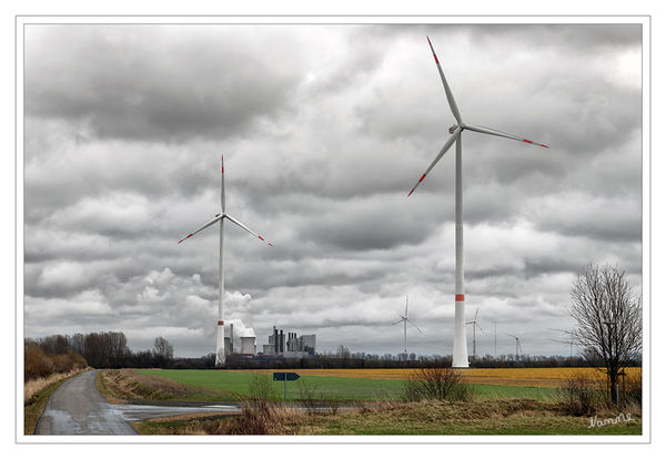 Wolkenhimmel über Garzweiler
Königshover Höhe - Die Ergebnisse der Rekultivierungsarbeit und die im Rahmen der Rekultivierungsforschung erlangten wissenschaftlichen Erkenntnisse sollen Fachleuten und der interessierten Öffentlichkeit zugänglich gemacht werden. laut forschungsstellerekultivierung

Schlüsselwörter: Könighovener Höhe, Grevenbroich