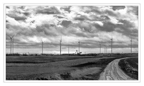 Wolkenhimmel und Windräder
Königshover Höhe - Die Ergebnisse der Rekultivierungsarbeit und die im Rahmen der Rekultivierungsforschung erlangten wissenschaftlichen Erkenntnisse sollen Fachleuten und der interessierten Öffentlichkeit zugänglich gemacht werden. laut forschungsstellerekultivierung
Schlüsselwörter: Könighovener Höhe, Grevenbroich